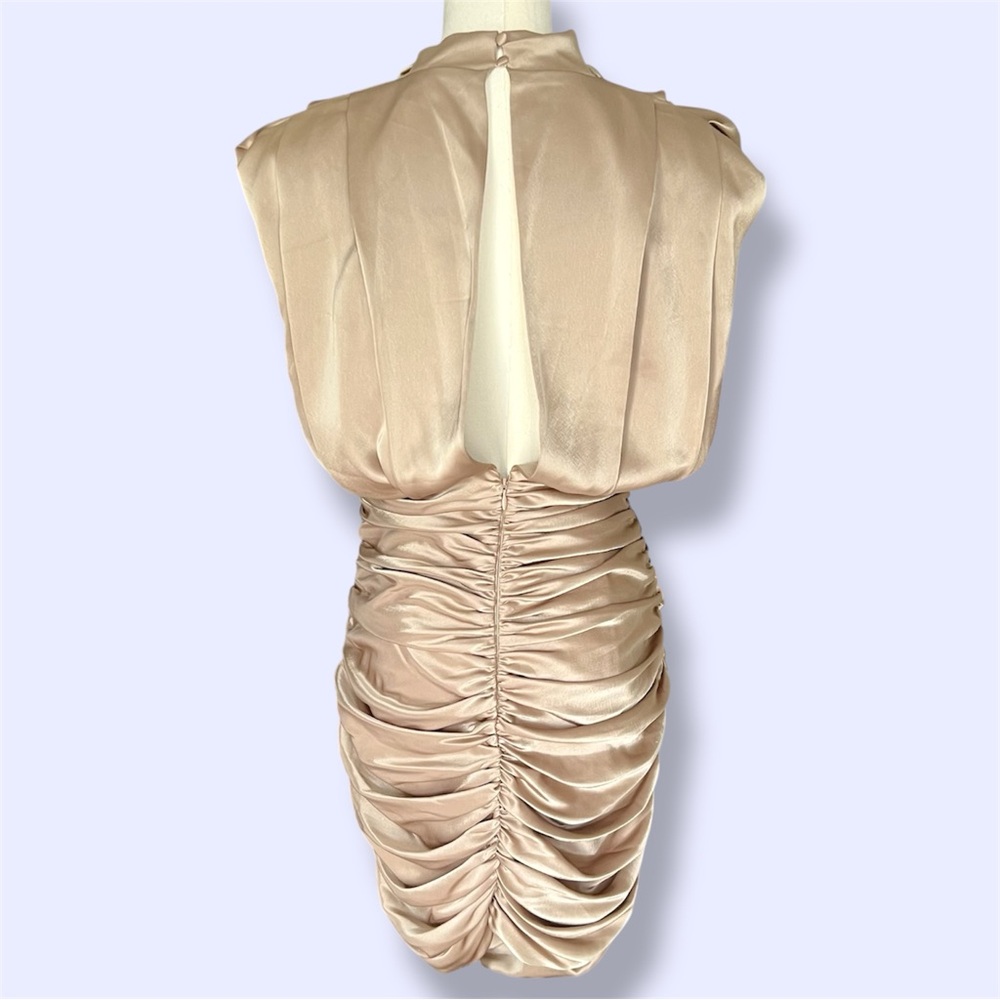 Aritzia Babaton Hasek Dress